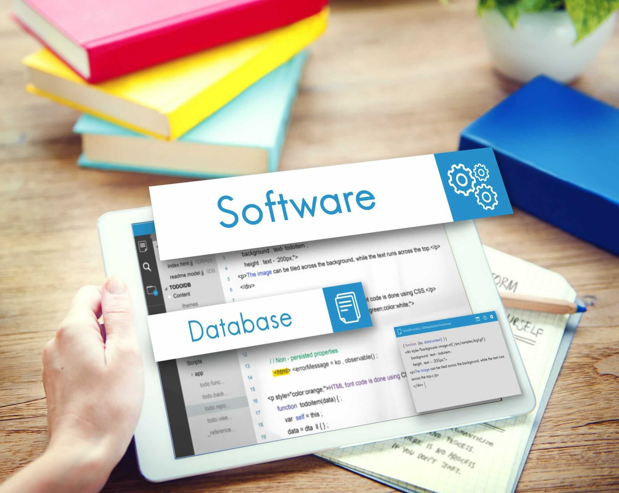 Tailor-Made Software Tailor-Made Software